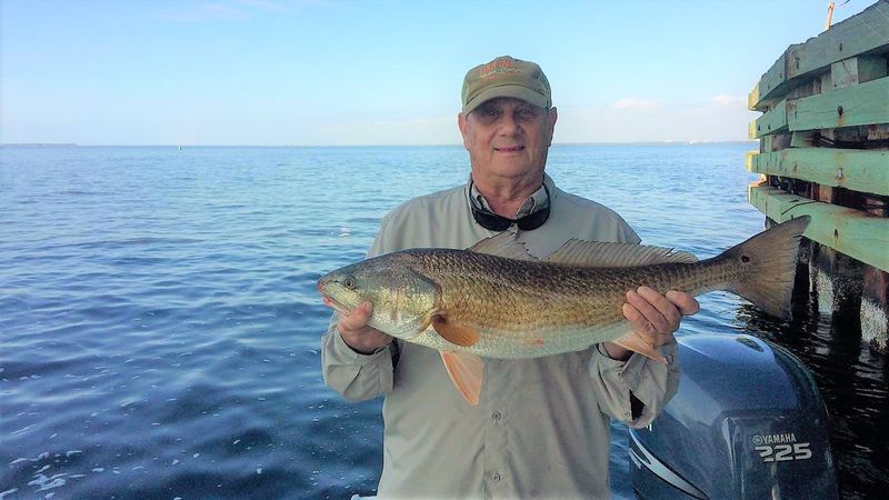Reel In Adventure And Thrills Santa Rosa Beach Fishing Charter Reel In Adventure And Thrills Santa Rosa Beach Fishing Charter